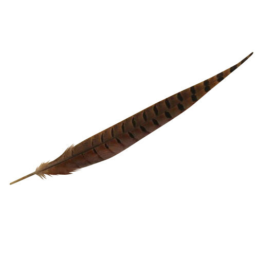 羽 キジ尾 25-30cm 【装飾用】【羽根 2本】【アクセサリー フェザー パーツ 羽 手芸 羽根飾り アクセサリ しゅげい】羽 ディスプレイ 羽 アクセサリー 羽 イヤリング 羽 ブローチ  羽 帽子飾り 羽ドリームキャッチャー