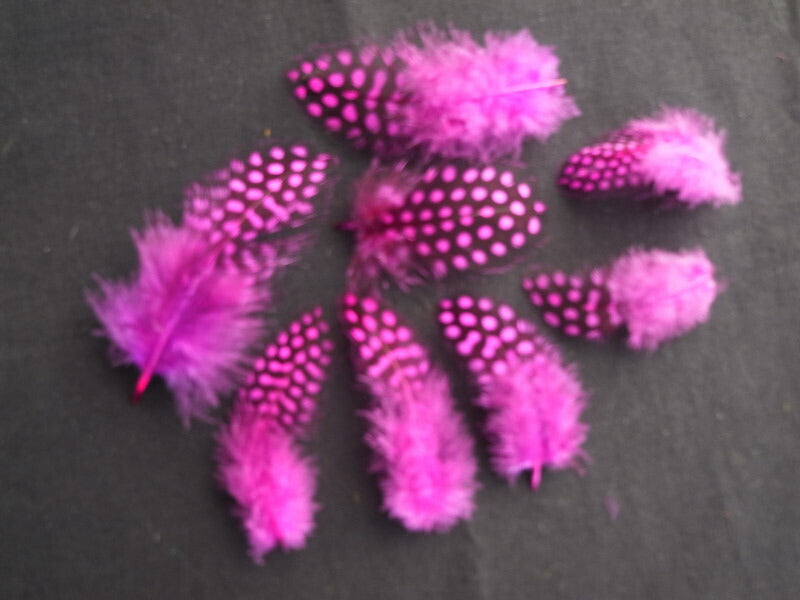 ホロホロ鳥　ワイン/紫 装飾用の羽根 【アクセサリー パーツ 羽 フェザー 手芸 アクセサリ しゅげい】