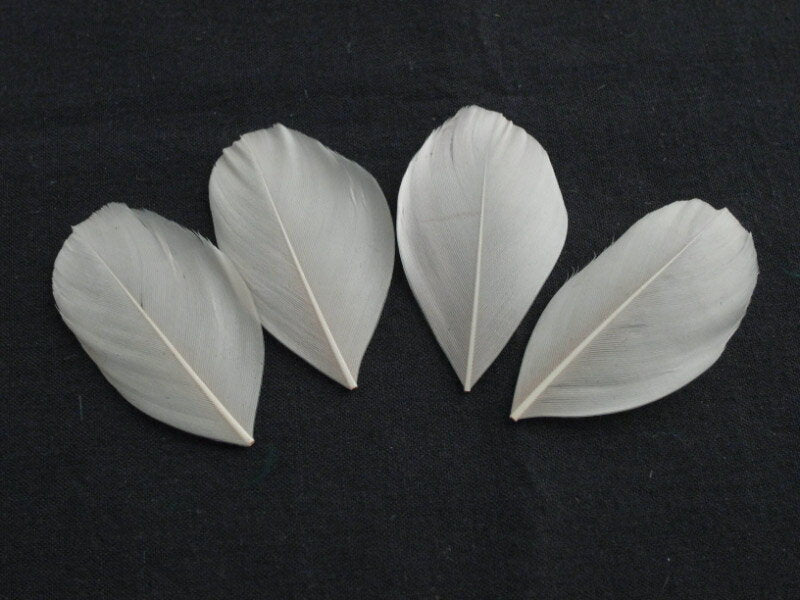 羽 羽根 ガ鳥カット 肌色ピンク　装飾用の羽根 【ピンクの羽根 ピンクの色 アクセサリー パーツ 羽 フェザー 手芸 アクセサリ しゅげい】