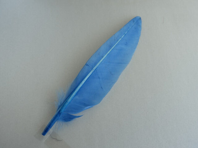 カットナタ グリーゼ　ブルー　装飾用の羽根 1本 15-20cm【アクセサリー パーツ 羽】【フェザー 手芸】【アクセサリ しゅげい】