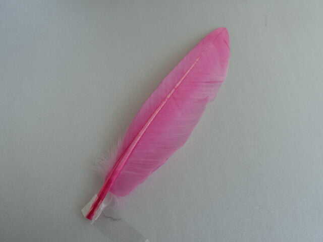 カットナタ サーモンピンク　装飾用の羽根 1本15-20cm【アクセサリー パーツ 羽】【フェザー 手芸】【アクセサリ しゅげい】