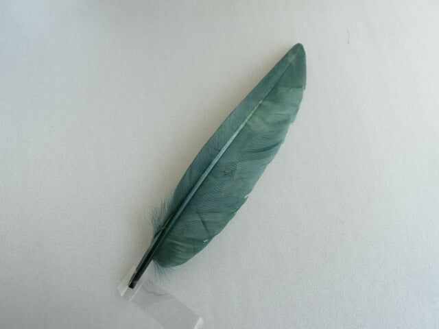 カットナタアッシュグリーン　装飾用の羽根 1本15-20cm【アクセサリー パーツ 羽】【フェザー 手芸】【アクセサリ しゅげい】