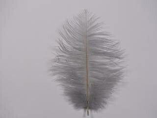 オーストリッチ 小　ライトグレー 2本 set【アクセサリー パーツ 羽】【フェザー 手芸】【アクセサリ しゅげい】
