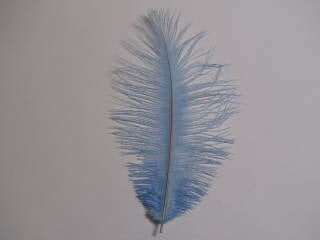 オーストリッチ 小　2本 ブルーグリーゼ【アクセサリー パーツ 羽】【フェザー 手芸】【アクセサリ しゅげい】