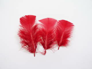 プルメジ小　赤 ディスプレイ　5本　アクセサリー　ヘッドドレス　赤い羽根 red feather