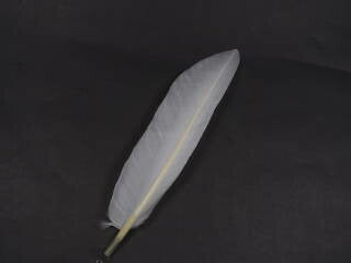 カットナタ白　1本 15-20cm【アクセサリー パーツ 羽】【フェザー 手芸】【アクセサリ しゅげい】
