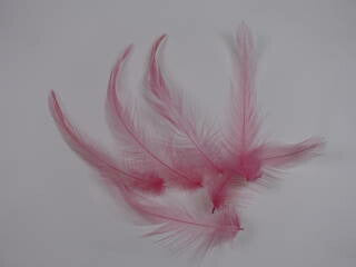 羽 首毛 ワインレッド 装飾用の羽根 20本【アクセサリー パーツ 羽 手芸 Feather フェザー クラフト】羽 髪飾り 羽 手芸 羽 ビーズ 羽 帽子飾り　ドリームキャッチャー