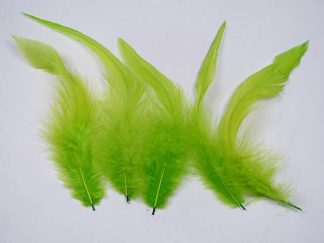 キャラ尾　キミドリ 12-16cm 10本　装飾用の羽根 【アクセサリー パーツ 羽 手芸 アクセサリ しゅげい フェザー】羽ドレス衣装　舞台衣装　ダンス衣装 　帽子飾り 羽ビーズ