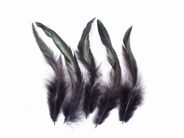 キャラ尾黒 12-16cm 10本　装飾用の羽根 【アクセサリー パーツ 羽 手芸 ハンドメイド チャームやタッセル製作　フェザー】羽ドレス衣装　舞台衣装　ダンス衣装 　帽子飾り 羽ビーズ