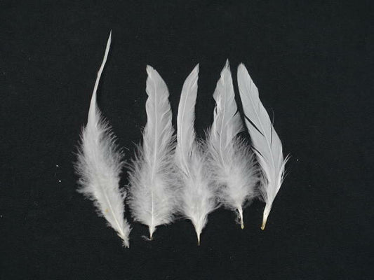 キャラ尾　白 12-16cm 10本　装飾用の羽根 【アクセサリー パーツ 羽 手芸 アクセサリ しゅげい フェザー】羽ドレス衣装　舞台衣装　ダンス衣装 　帽子飾り 羽ビーズ