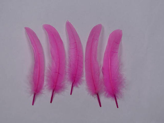 羽根　車 小羽根 （ブライトピンク）  10本 【装飾用 羽根 フェザー】【アクセサリー パーツ 羽 手芸 アクセサリ しゅげい】羽 ブローチ 羽 飾り羽 コサージュ 羽 イヤリング