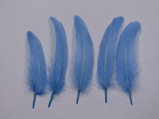 羽根　車小羽根 （ブルーグリーゼ）  10本 【装飾用 羽根 フェザー】【アクセサリー パーツ 羽 手芸 アクセサリ しゅげい】羽 ブローチ 羽 飾り羽 コサージュ 羽 イヤリング