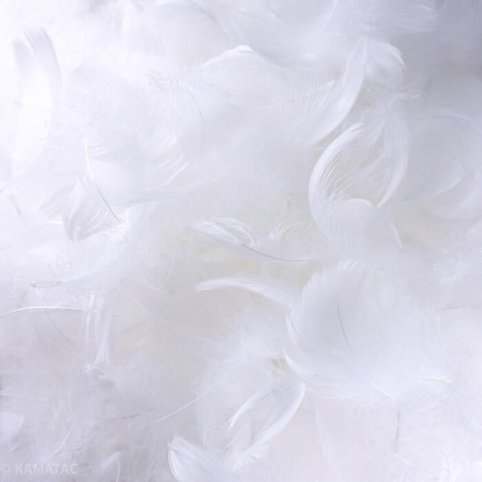 羽 コキール 白 羽 飾り 羽根 髪飾り 羽　ビーズ　 天使の羽根　羽　ディスプレイ 羽 エンジェルシャワー 羽根　アクセサリー　羽根 ヘットドレス　羽根　コサージュ