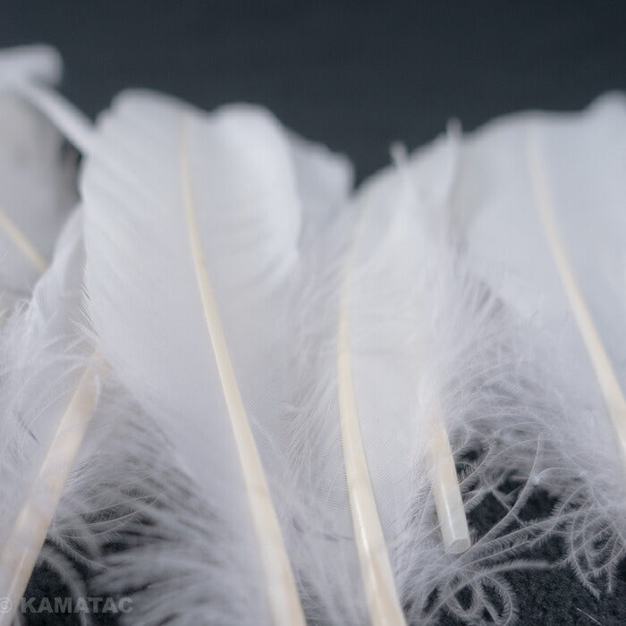 羽 グース ホロ<br>（12-16cm）20枚 【装飾用】 白い羽根 天然羽根 フェザー アクセサリー パーツ 羽 手芸 しゅげい アクセサリー】
