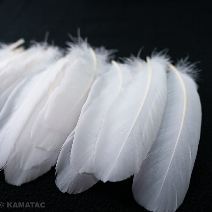 羽 グース ホロ<br>（12-16cm）20枚 【装飾用】 白い羽根 天然羽根 フェザー アクセサリー パーツ 羽 手芸 しゅげい アクセサリー】