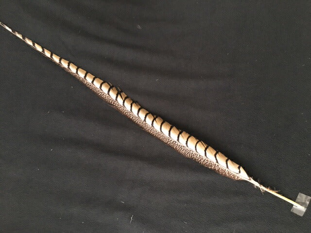 ギンケイ尾 非対称模様40-70cm<br>【装飾用の羽根】【アクセサリー フェザー パーツ 羽 手芸 アクセサリ しゅげい】舞台衣装 ダンス衣装 ドレス衣装