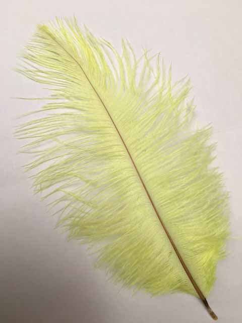 オーストリッチ小　2本 ライトイエロー【装飾用】【フェザー アクセサリー パーツ 羽 手芸 アクセサリ しゅげい 羽根飾り】