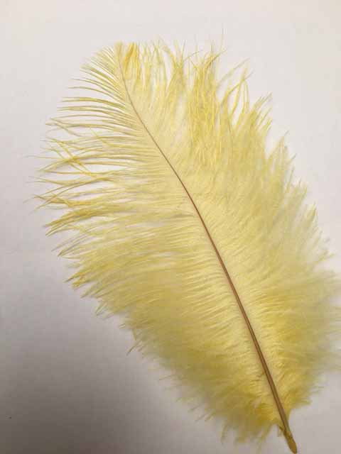 オーストリッチ小　ゴールドイエロー【1set 2本】【装飾用】【フェザー アクセサリー パーツ 羽 手芸 アクセサリ しゅげい 羽根飾り】
