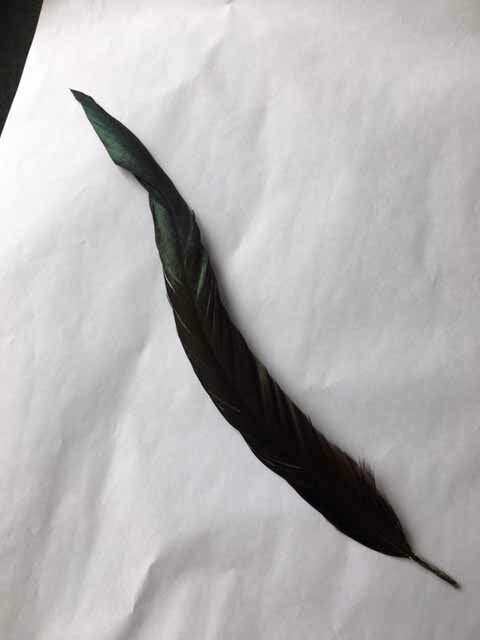 尾羽根　黒30-35cm【装飾用】【フェザー アクセサリー パーツ 羽 手芸 アクセサリ しゅげい 羽根飾り】羽ドレス衣装　舞台衣装　ダンス衣装 　帽子飾り