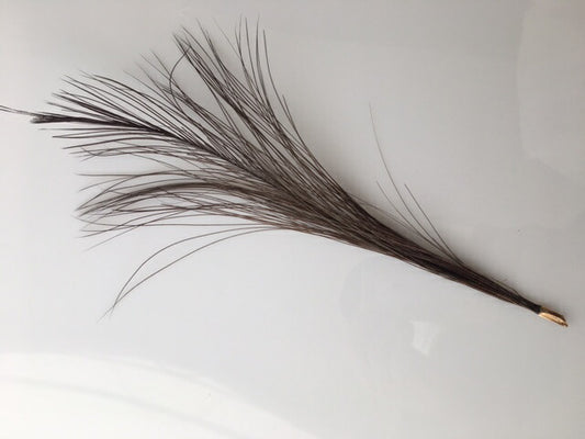 ヒクイ鳥尾　長さ30cm  1本<br>【フェザー アクセサリー パーツ 羽 手芸 しゅげい アクセサリ】舞台衣装 ダンス衣装 ドレス衣装