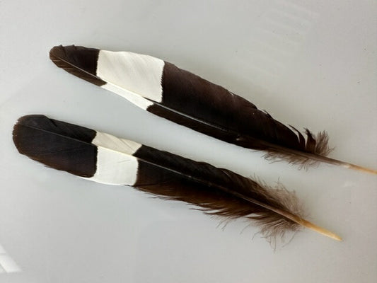 ヤツガシラ　8-12cm 2本　【装飾用】【フェザー アクセサリー パーツ 羽 手芸 アクセサリ しゅげい 羽根飾り】