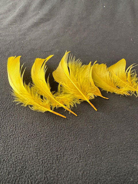 羽 シマ毛ゴールド　大2枚　小3枚【装飾用の羽根】【フェザー アクセサリー パーツ 羽 手芸 アクセサリ しゅげい】羽 髪飾り 羽 手芸 羽 ビーズ 羽 帽子飾り　ドリームキャッチャー