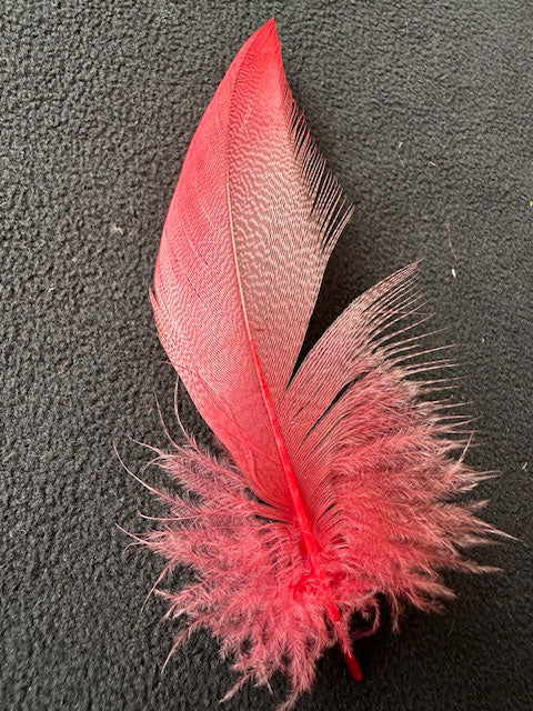 羽 シマ毛赤　大2枚　小3枚【装飾用の羽根】【フェザー アクセサリー パーツ 羽 手芸 アクセサリ しゅげい】羽 髪飾り 羽 手芸 羽 ビーズ 羽 帽子飾り　ドリームキャッチャー