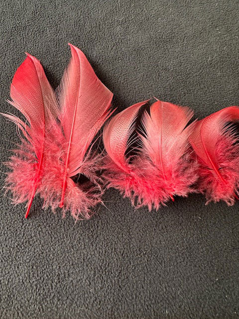 羽 シマ毛赤　大2枚　小3枚【装飾用の羽根】【フェザー アクセサリー パーツ 羽 手芸 アクセサリ しゅげい】羽 髪飾り 羽 手芸 羽 ビーズ 羽 帽子飾り　ドリームキャッチャー