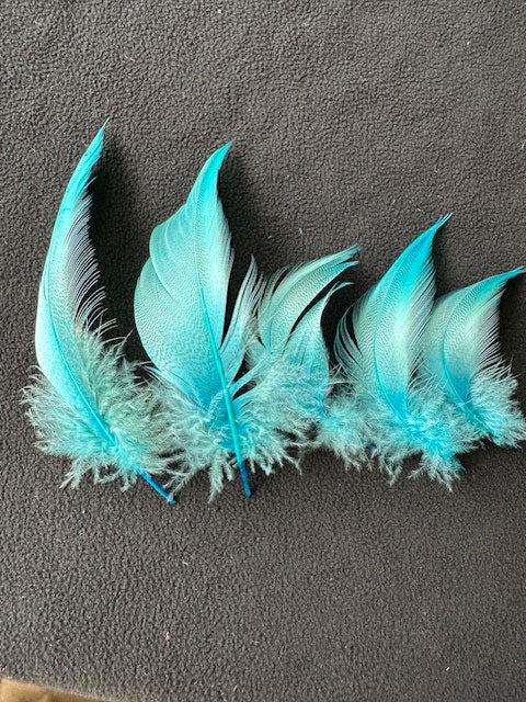羽 シマ毛ブルー　大2枚　小3枚【装飾用の羽根】【フェザー アクセサリー パーツ 羽 手芸 アクセサリ しゅげい】羽 髪飾り 羽 手芸 羽 ビーズ 羽 帽子飾り　ドリームキャッチャー