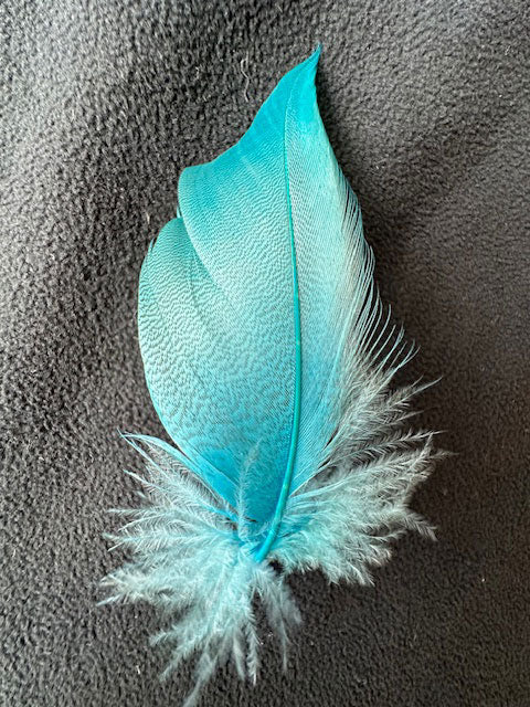 羽 シマ毛ブルー　大2枚　小3枚【装飾用の羽根】【フェザー アクセサリー パーツ 羽 手芸 アクセサリ しゅげい】羽 髪飾り 羽 手芸 羽 ビーズ 羽 帽子飾り　ドリームキャッチャー