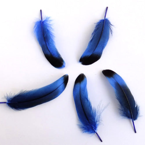 鴨目玉（青）15本　４－６ｃｍ　装飾用の羽根 【アクセサリー フェザー パーツ 羽 手芸 アクセサリ しゅげい】送料無料