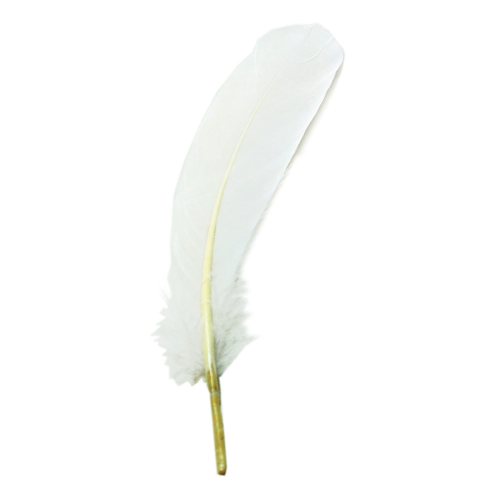 ダック (ホロ) （10-15cm） 20枚 羽根 【装飾用】【フェザー アクセサリー パーツ 羽 手芸 アクセサリ しゅげい 羽根飾り】