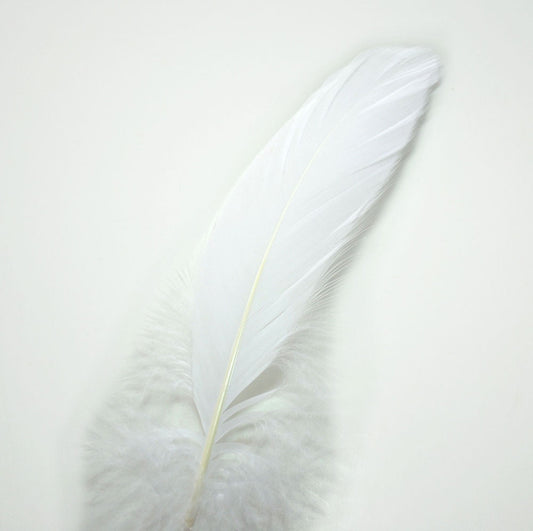 ナゴリヤ 白10-16cm 8本【羽衣装　ダンス　衣装リメイク　手芸 インディアン風アクセサリー　ウェディング フラワーアレンジメント 内装 パーツ チャーム製作　ハンドメイド 】