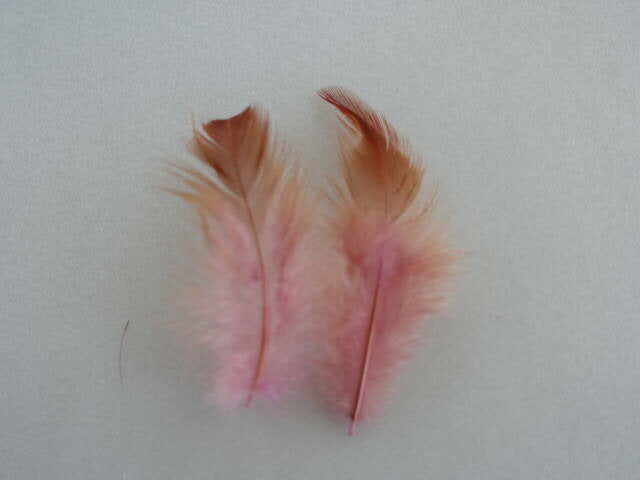 羽 紅背毛 ピンク 6cm-10cm 20枚【装飾用の羽根 ドリームキャッチャー 羽衣装　ダンス　インディアン風アクセサリー　ウェディング フラワーアレンジメント 内装 パーツ チャーム製作　ハンドメイド 】