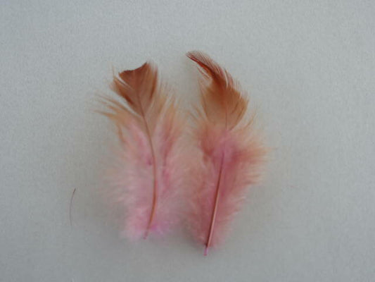羽 紅背毛 ピンク 6cm-10cm 20枚【装飾用の羽根 ドリームキャッチャー 羽衣装　ダンス　インディアン風アクセサリー　ウェディング フラワーアレンジメント 内装 パーツ チャーム製作　ハンドメイド 】
