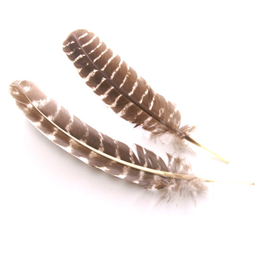 七面 ホロ 茶（２５－３０ｃｍ） 装飾用の羽根2本 【アクセサリー フェザー パーツ 羽 手芸 アクセサリ しゅげい】