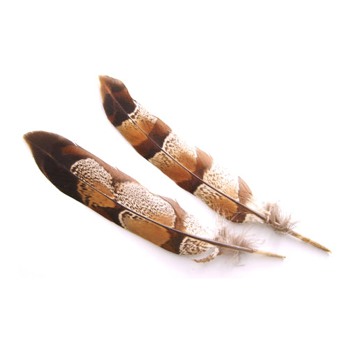 山どり尾 （10-15cm） 1本【アクセサリー パーツ 羽 羽根 手芸 フェザー アクセサリ しゅげい】舞台衣装 ダンス衣装 ドレス衣装 帽子飾り