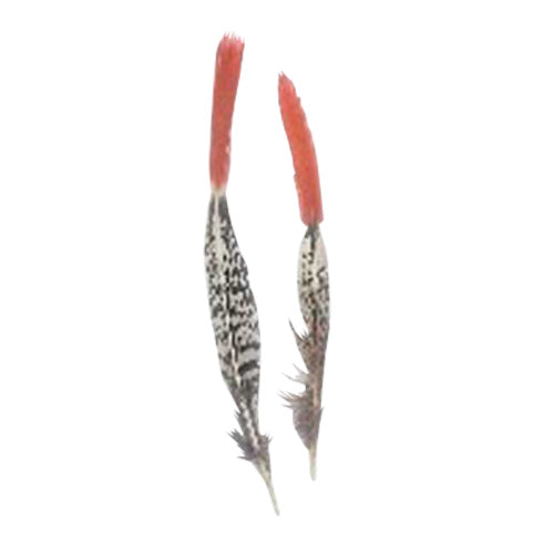 ギンケイ尾オレンジ 小　8-12cm 【装飾用の羽根】【フェザー】2本set 【アクセサリー パーツ 羽 手芸 アクセサリ しゅげい 羽根飾り】舞台衣装 ダンス衣装 ドレス衣装