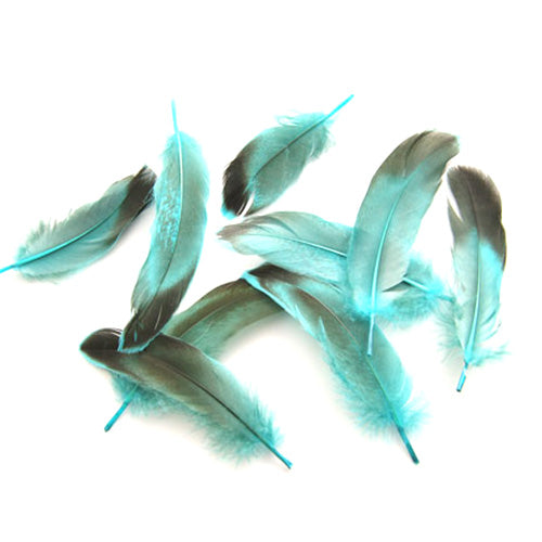 鴨目玉 （ブルー）15本　４－６ｃｍ 装飾用の羽根 【アクセサリー フェザー パーツ 羽 手芸 アクセサリ しゅげい】送料無料