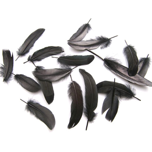 鴨目玉 （黒）15本　４－６ｃｍ　装飾用の羽根 【アクセサリー フェザー パーツ 羽 手芸 アクセサリ しゅげい】送料無料
