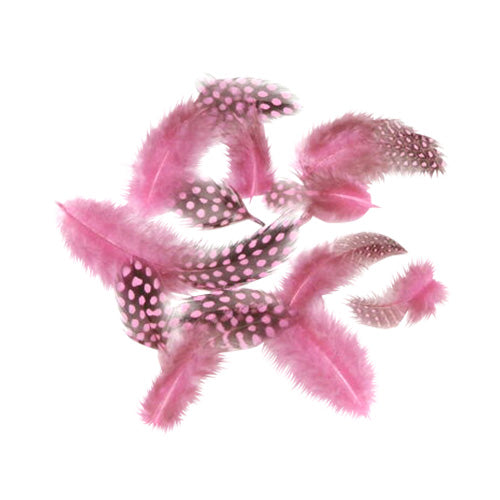 ホロホロ鳥 ピンク の羽根【アクセサリー パーツ 羽 羽根 フェザー 手芸 アクセサリ しゅげい】10本入り