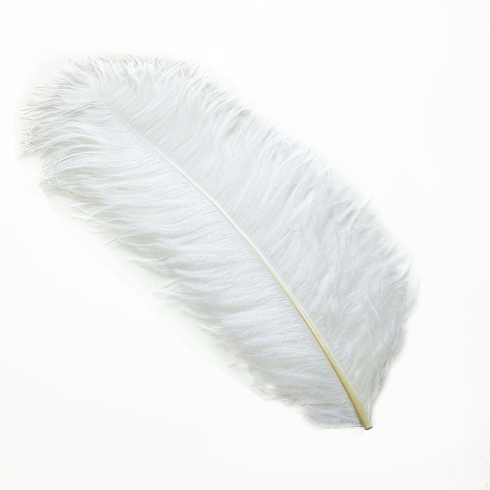 オーストリッチ45～55cm 羽根 （白） <br>【羽_インテリア_手芸_アクセサリー_パーツ_フェザー_しゅげい_アクセサリ】羽 髪飾り　舞台衣装 ダンス衣装