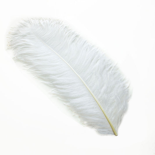オーストリッチ45～55cm 羽根 （白） <br>【羽_インテリア_手芸_アクセサリー_パーツ_フェザー_しゅげい_アクセサリ】羽 髪飾り　舞台衣装 ダンス衣装