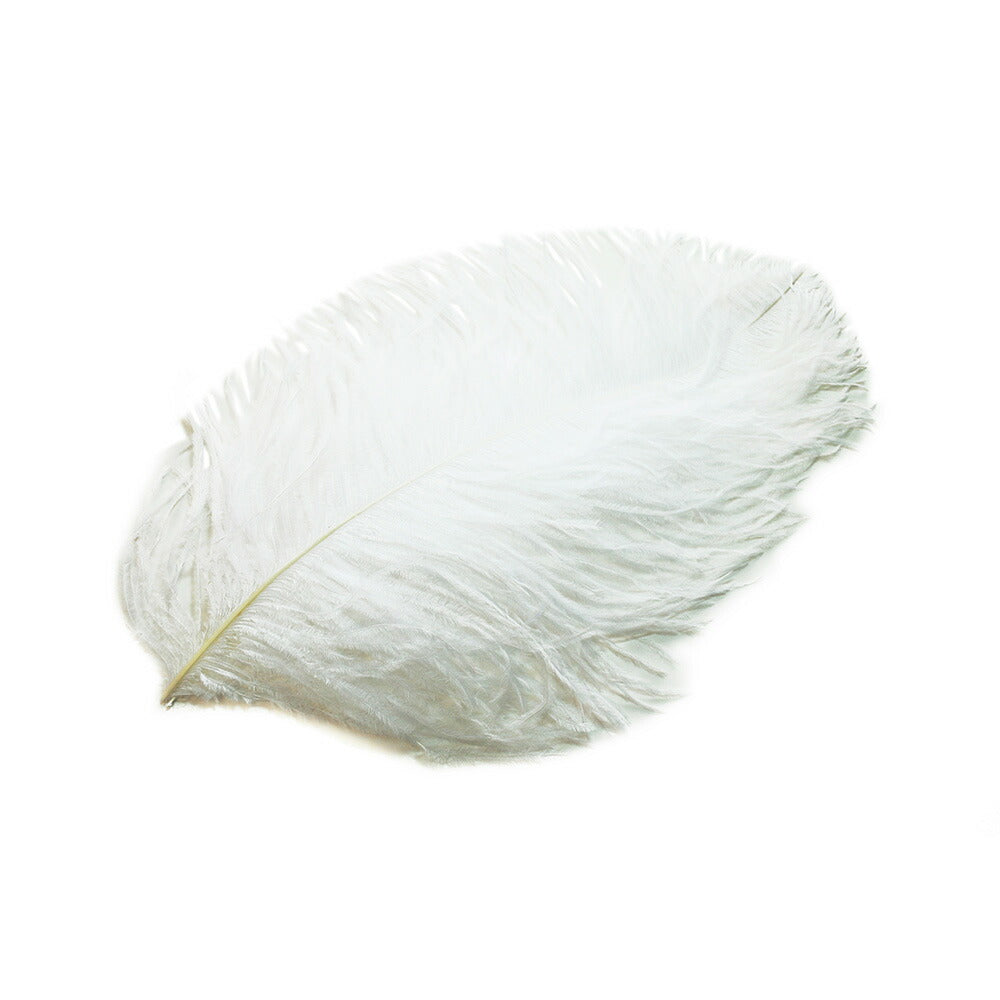 オーストリッチ 40cm （白） この羽根はディスプレイ、アクセサリー、ヘットドレス 羽 髪飾り　舞台衣装 ダンス衣装