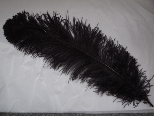 羽 オーストリッチ 60cm （黒）羽 ディスプレイ、アクセサリー、ヘットドレス  羽ディスプレイ、アクセサリー、ヘットドレス  舞台衣装 ダンス衣装