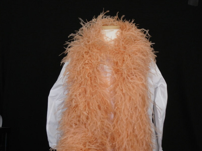 羽 オーストリッチ　ボア　アプリコット 舞台衣装 ダンス衣装