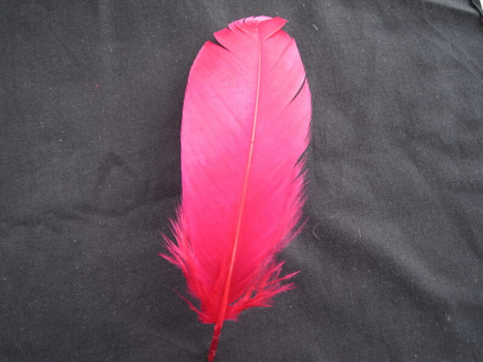 ナゴリヤ ワインレッド【装飾用の羽根 羽衣装　ダンス　インディアン風アクセサリー　ウェディング フラワーアレンジメント 内装 パーツ チャーム製作　ハンドメイド 】