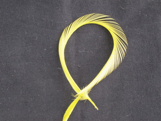 ビヨット　黄色 ５本【装飾用】【羽根】【フェザー アクセサリー パーツ 羽 手芸 アクセサリ しゅげい 羽根飾り】