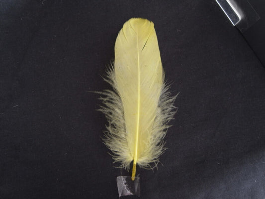 ナゴリヤ黄色　【装飾用の羽根 羽衣装　ダンス　インディアン風アクセサリー 手芸 ウェディング フラワーアレンジメント 内装 パーツ チャーム製作　ハンドメイド 】