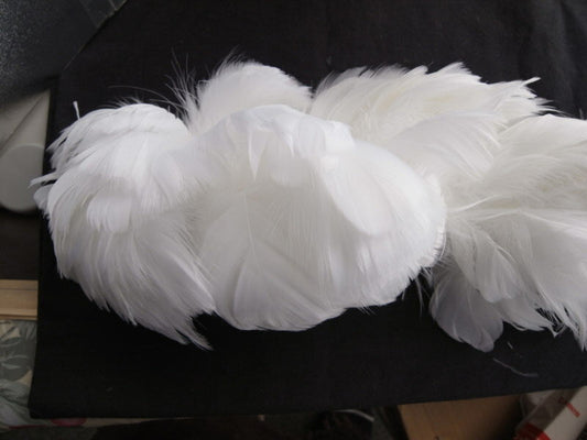 羽 コキール糸通し 白 30cm 羽 飾り 羽根 髪飾り 羽　ビーズ　 天使の羽根　羽　ディスプレイ 羽 エンジェルシャワー 羽根　アクセサリー　羽根 ヘットドレス
